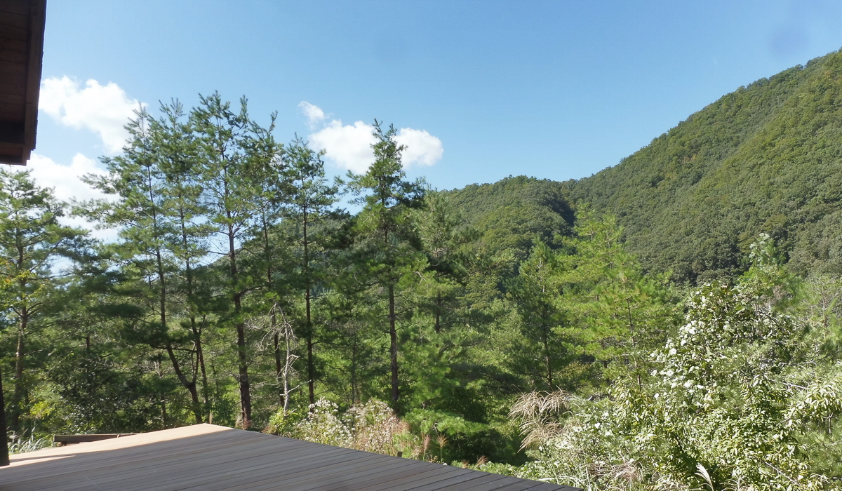 ウッドデッキと南丹市の京都の自然風景