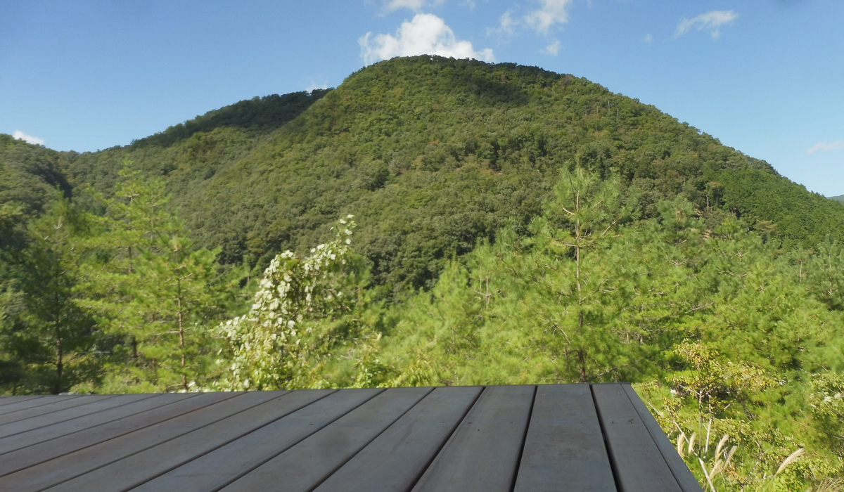 素晴らしい山の景色。ウリンのウッドデッキ