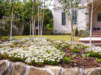 華やかな白花庭園ガーデニング