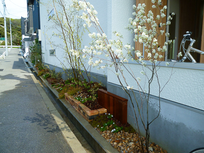 ナチュラルでシンプルな花壇