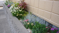 滋賀県栗東市小さなガーデニング